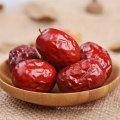 Supply best quality organic jujube/Chinese red dates